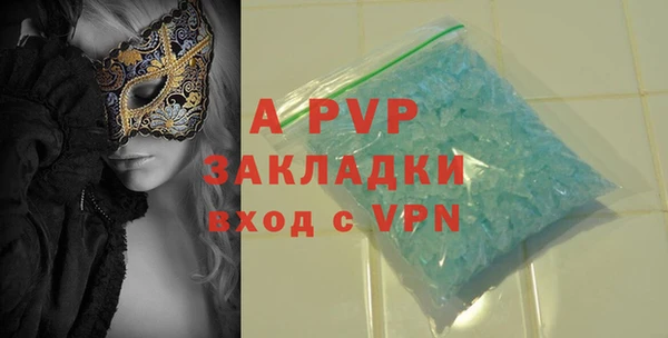 гидра Бородино