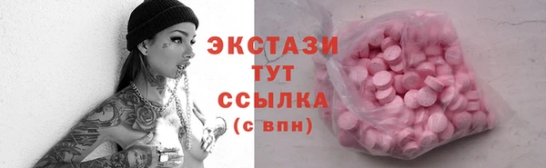 гидра Бородино
