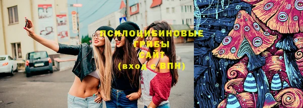 гидра Бородино