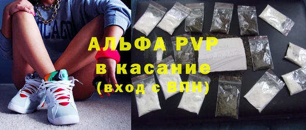 гидра Бородино