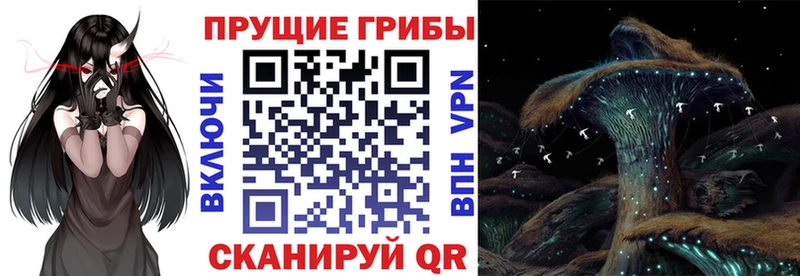 купить наркотики сайты  Вуктыл  Галлюциногенные грибы GOLDEN TEACHER 